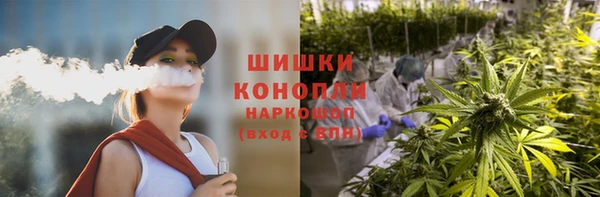 ПСИЛОЦИБИНОВЫЕ ГРИБЫ Долгопрудный