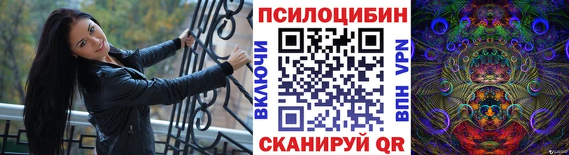 продажа наркотиков  Благодарный  Псилоцибиновые грибы MAGIC MUSHROOMS 